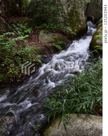 びわこ文化公園 渓流(夕照の庭) びわこ文化公園 渓流(夕照の庭) 135203943