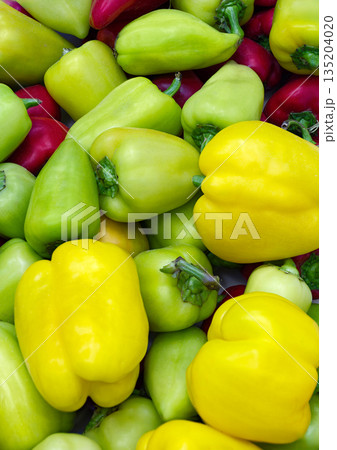 Red, green and yellow sweet peppers Red, green and yellow sweet peppers 135204020