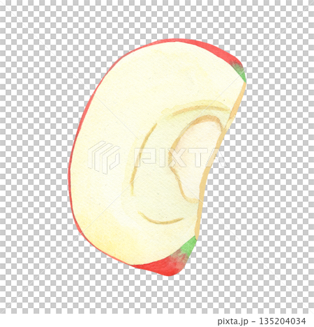 Illustration of an apple slice, a hand-drawn watercolor fruit. Ripe, realistic seasonal fruit. 135204034