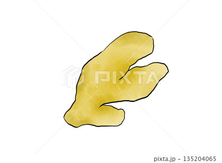 水彩イラストのじゃがいも 135204065