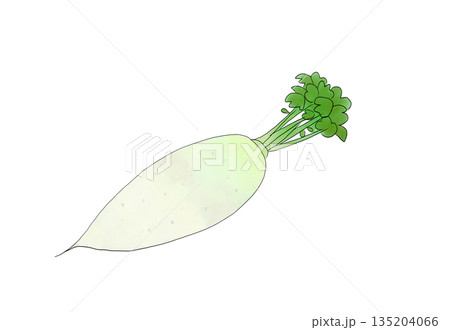 水彩イラストのじゃがいも 135204066