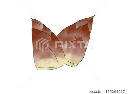 水彩イラストのじゃがいも 135204067