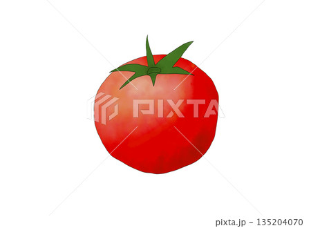 水彩イラストのじゃがいも 135204070