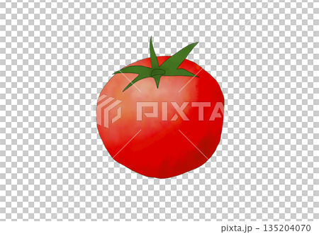 水彩イラストのじゃがいも 135204070