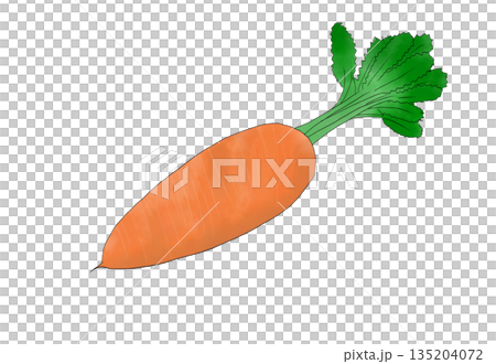 水彩イラストのじゃがいも 135204072