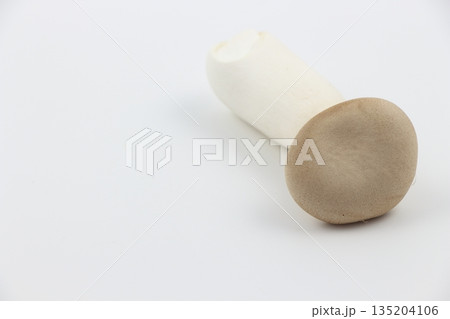 秋の味覚を代表する新鮮な状態のエリンギ 秋の味覚を代表する新鮮な状態のエリンギ 135204106