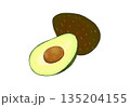 水彩イラストのアボカド 135204155