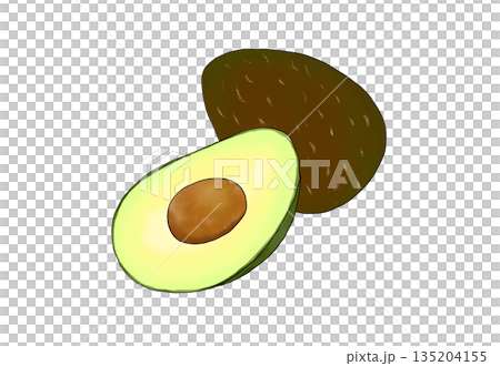 Watercolor illustration of avocado Watercolor illustration of avocado 135204155