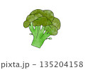 水彩イラストのブロッコリー 135204158