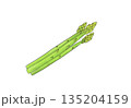 水彩イラストのアスパラ 135204159