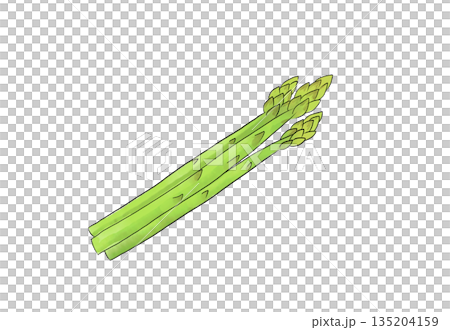 水彩イラストのアスパラ 135204159