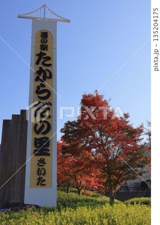 道の駅 たからだの里さいた、青空と紅葉 135204175