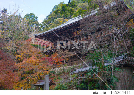 秋の兵庫県姫路市の書写山円教寺の摩尼殿 135204416