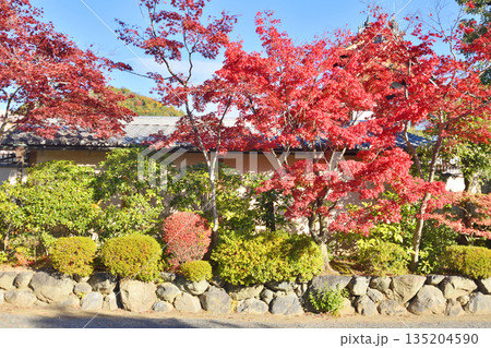 等持院の門と紅葉 135204590