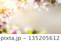 Delicate spring blossom with soft sunlight as a natural frame for tranquil background. Floral bloom for a romantic Springtime concept. 135205612