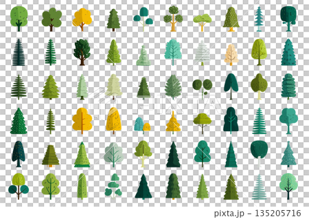 木のイラスト(png)のイラスト素材 [135205716] - PIXTA