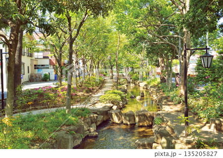 小松川境川親水公園 135205827