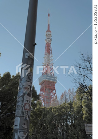 落書き電柱と東京タワー 135205831