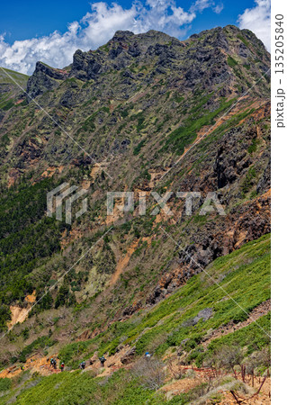 文三郎道分岐から見る八ヶ岳連峰・横岳 135205840
