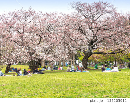 篠崎公園 A地区 135205912