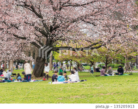 篠崎公園 A地区 135205913