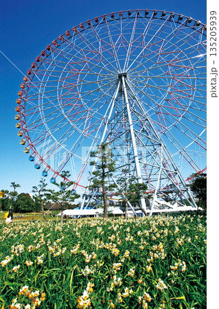 葛西臨海公園「ダイヤと花の大観覧車」 135205939