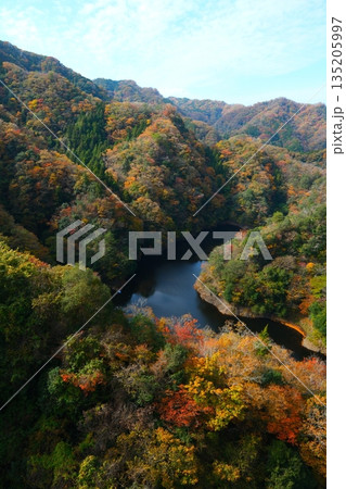 秋の竜神大吊橋 135205997