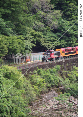 保津峡を疾走するトロッコ列車 保津峡を疾走するトロッコ列車 135206192