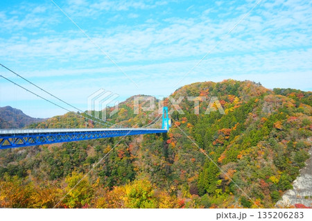 秋の竜神大吊橋 秋の竜神大吊橋 135206283