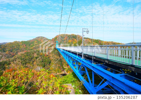 秋の竜神大吊橋 135206287
