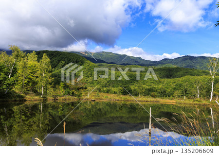 乗鞍高原まいめの池の鏡面のような水面に映る乗鞍連峰の秋景色 135206609