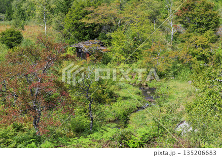 乗鞍高原の森に佇む古い山小屋と小川の初秋の風景(長野県松本市) 乗鞍高原の森に佇む古い山小屋と小川の初秋の風景(長野県松本市) 135206683