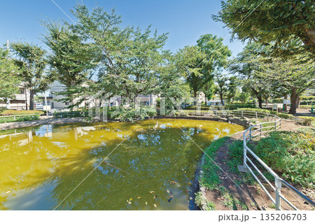 金町公園 135206703