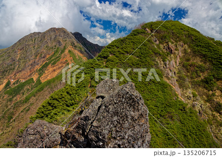 御小屋尾根の下りから見る八ヶ岳連峰・阿弥陀岳と赤岳 御小屋尾根の下りから見る八ヶ岳連峰・阿弥陀岳と赤岳 135206715