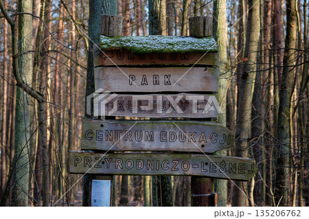 Warsaw, Poland, January 7, 2026 During the day, aged wooden signs with moss point the way through a serene forest. Directions include Park Kultury and Centrum Edukacji Przyrodniczo-Lesnej 135206762