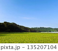 緑豊かな田園と青空 | 緑の田んぼと山並み 135207104
