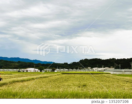田んぼと山の田園風景 | 日本の自然 135207106