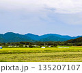田んぼと山の田園風景 | 日本の自然 135207107