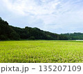 田んぼと山の田園風景 | 日本の自然 135207109