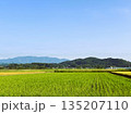 青空の下に広がる日本の田園風景| 日本の田舎の癒し景色 135207110