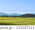 青空の下に広がる日本の田園風景 135207111