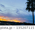 夕焼けのグラデーション空とヤシの木 | 街並みの夕暮れ風景 135207115