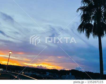 夕焼けのグラデーション空とヤシの木 | 街並みの夕暮れ風景 135207115
