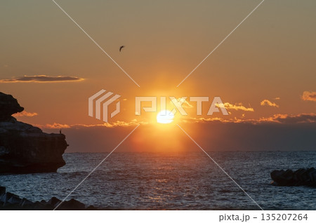 太平洋の朝日 135207264