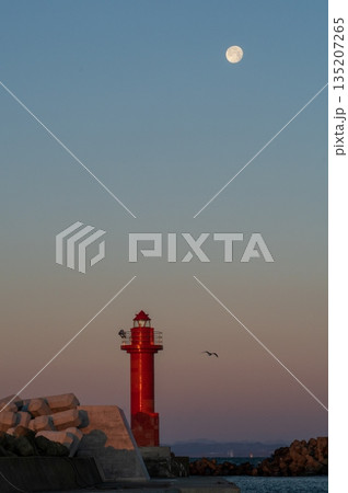 朝、西の空を見る 135207265