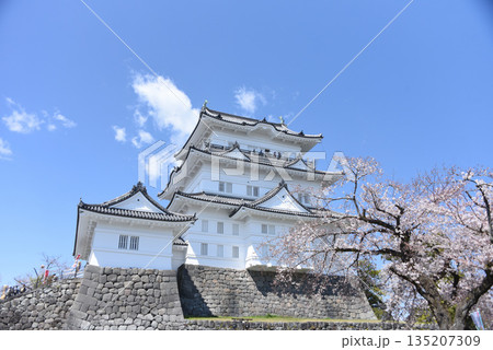 小田原城 小田原城 135207309