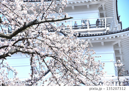 桜と城 135207312