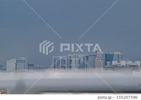 東京湾岸の工業地帯 立ち並ぶ建設用クレーンと曇天の空 135207396