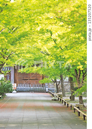 高円寺 高円寺 135207520