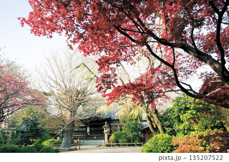 高円寺 高円寺 135207522
